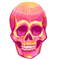 Pink Hatched Skull