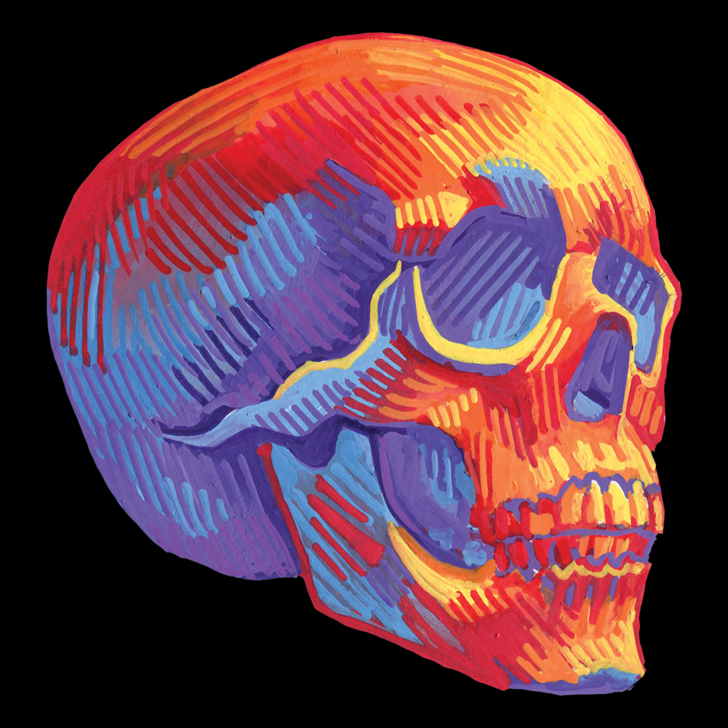 Sunset Skull